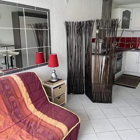 Studio 4 Pers Moderne Avec Vue 180° Sur Port, Parking Prive, Proche Plages Et Commerces - Fr-1-749-60 * Агд